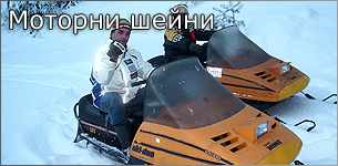 Моторни шейни
